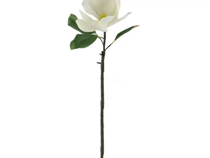Magnolia Stem – White