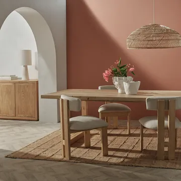 Estelle Reclaimed Elm Dining Chair product view 2
