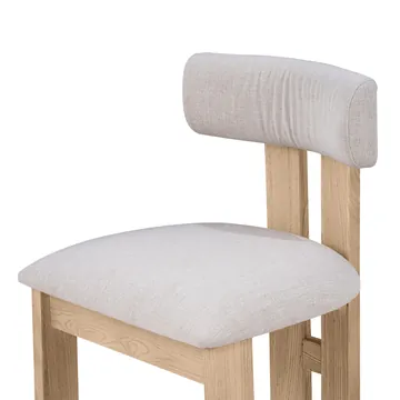 Estelle Reclaimed Elm Dining Chair product view 6