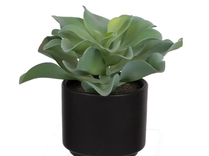 Artificial Potted Succulent – 19 × 19 × 16 cm