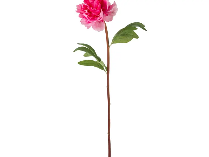 Artificial Peony Stem – 47 × 20 × 8 cm