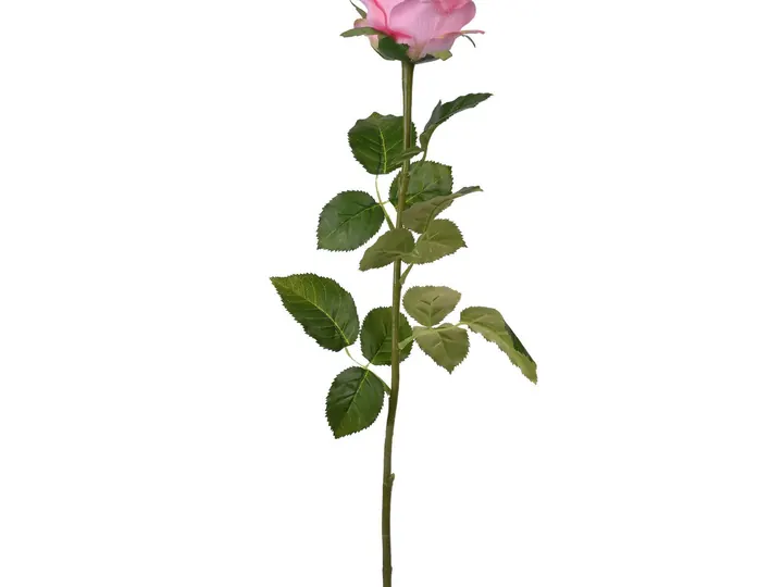 Artificial Rose Stem – Pink – 73 × 16 × 8.5 cm