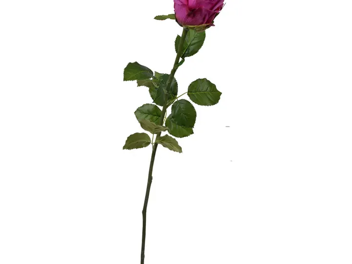 Artificial Rose Stem – Purple – 73 × 16 × 8.5 cm