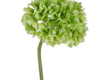 Artificial Hydrangea Stem – Assorted Colours product view 6