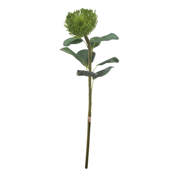 Artificial Green Protea Stem