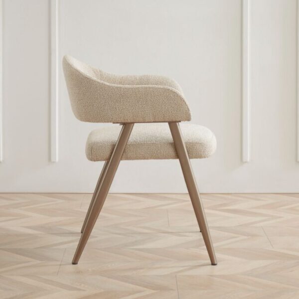 Elva Dining Chair (Ch555)