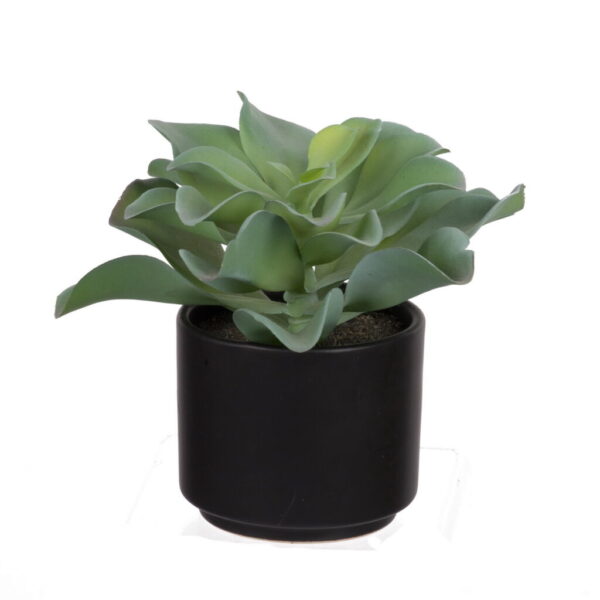 Artificial Potted Succulent – 19 × 19 × 16 cm