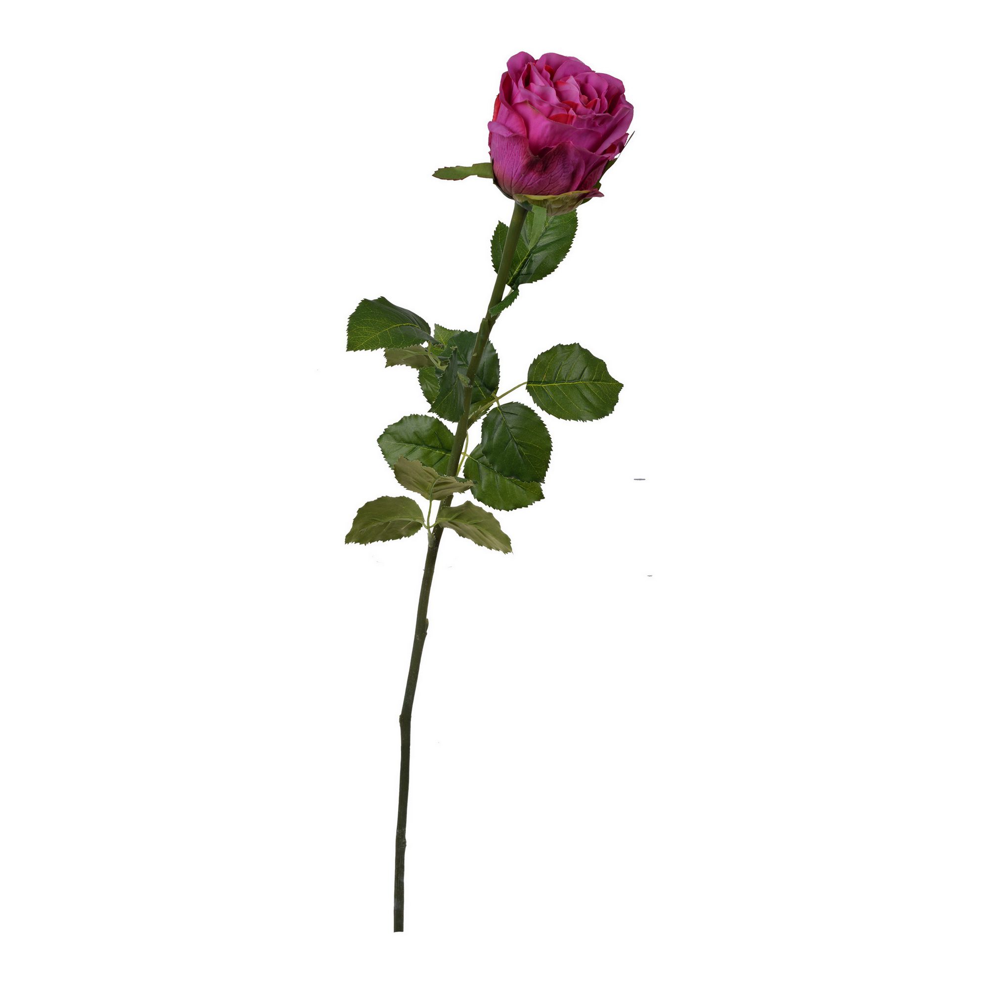 Artificial Rose Stem – Purple – 73 × 16 × 8.5 cm